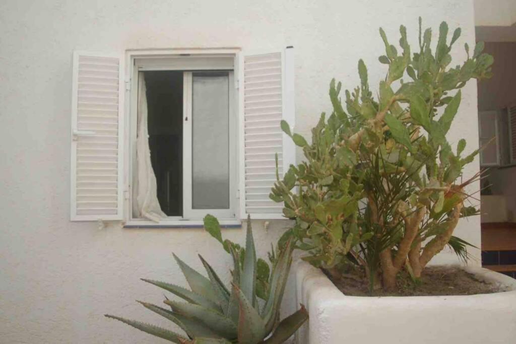 Apartamento A 2 Minutos Andando A La Playa. La Isleta del Moro Exteriér fotografie