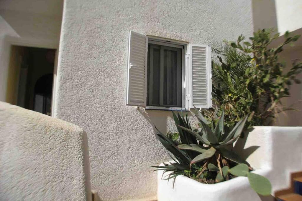 Apartamento A 2 Minutos Andando A La Playa. La Isleta del Moro Exteriér fotografie